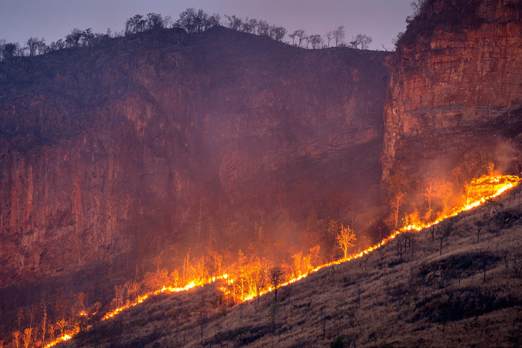 Forest fire on mountains